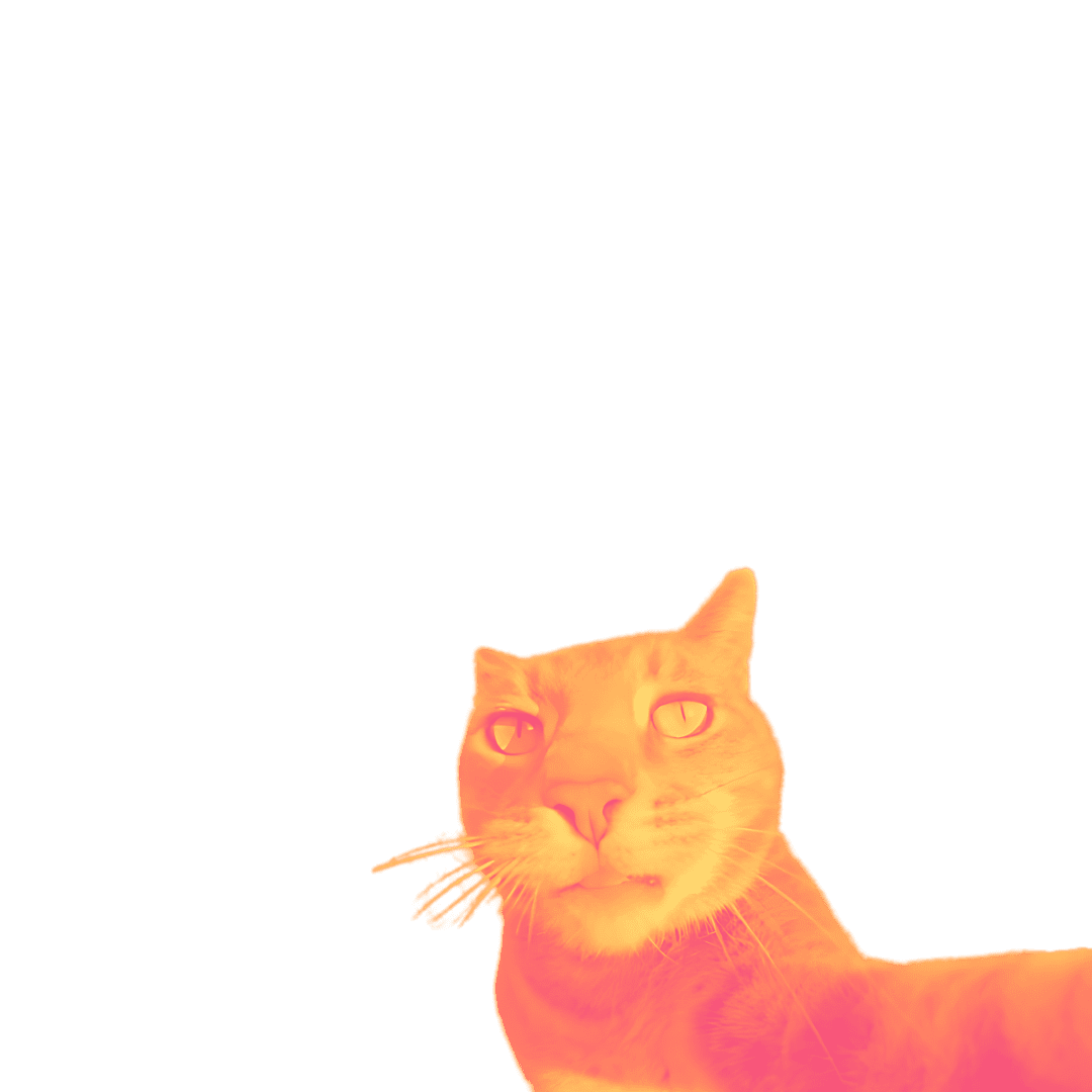 Cat Color 10