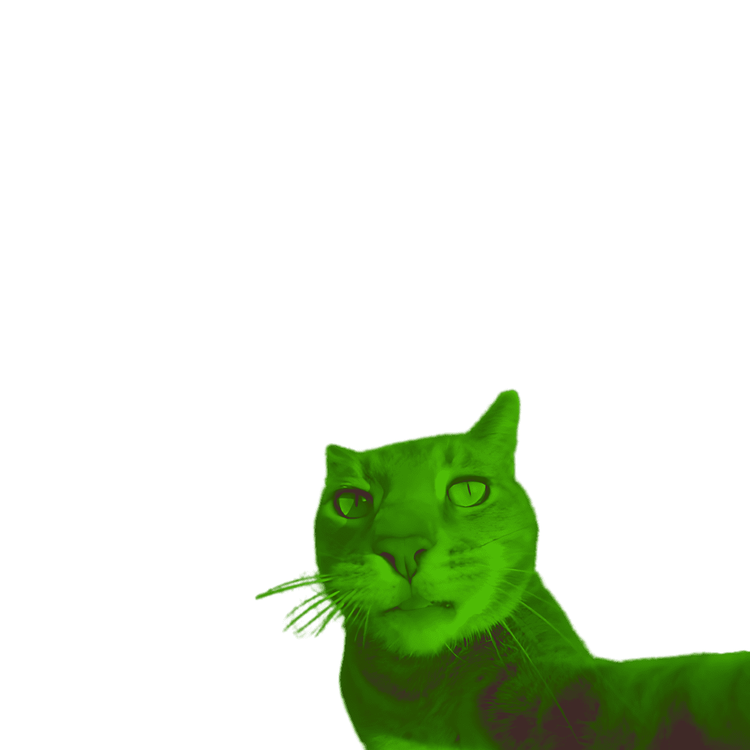 Cat Color 7