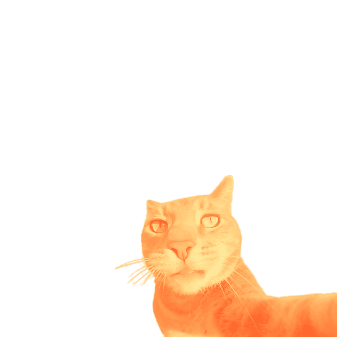 Cat Color 8